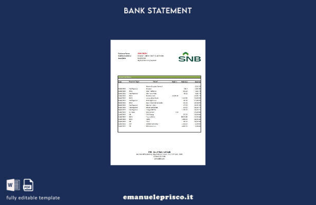 Modello Excel di estratto conto bancario BNS dell'Arabia Saudita in stile verifi