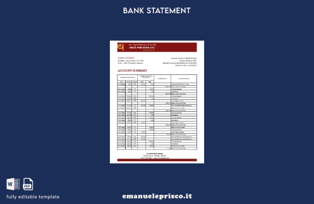 modello Excel di estratto conto bancario Bhutan Druk PNB in ​​stile verificato