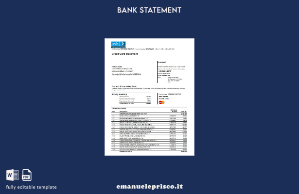 modello Excel di estratto conto della carta di credito bancaria della Florida US