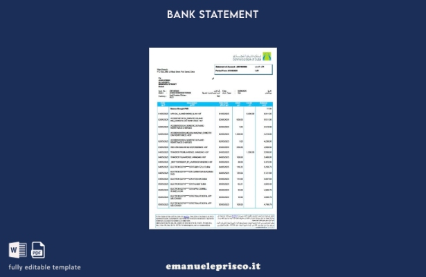 modello word di estratto conto bancario della Banca commerciale di Dubai degli E