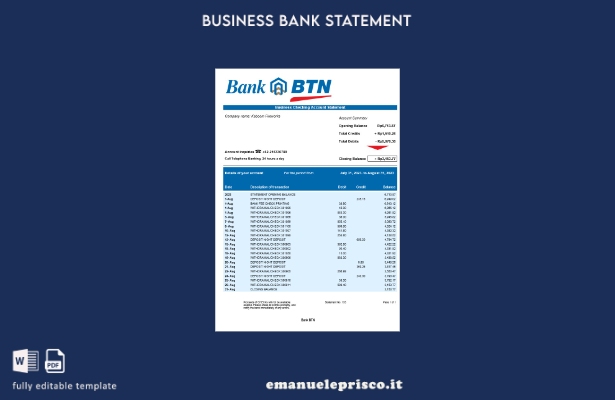 modello Word e PDF dell'estratto conto della società Bank BTN in stile verificat