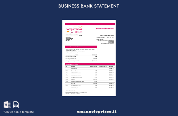 stile verificato Modello Word e PDF dell'estratto conto dell'organizzazione Comp