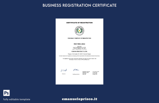 Certificato di registrazione aziendale in Paraguay in stile verificato Modello W