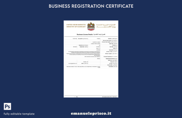 Modello di licenza commerciale degli Emirati Arabi Uniti in stile verificato