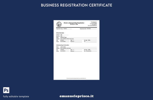 certificato di registrazione USA Illinois in stile verificato modello Word e PDF