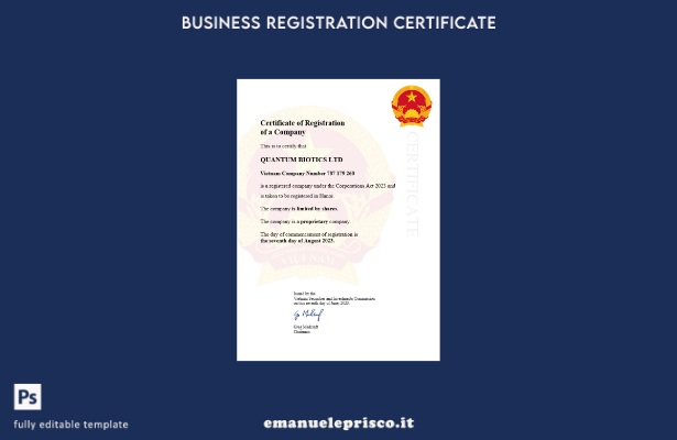 certificato di registrazione aziendale in Vietnam in stile verificato modello Wo