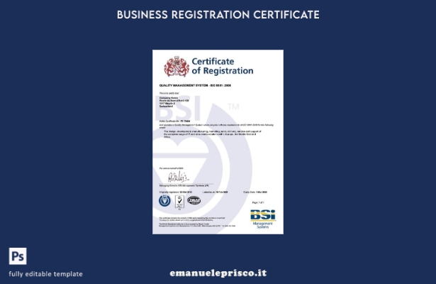 certificato di registrazione svizzero stile verificato Modello Word e PDF