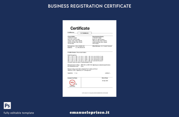 certificato indiano stile verificato dell'azienda modello Word e PDF