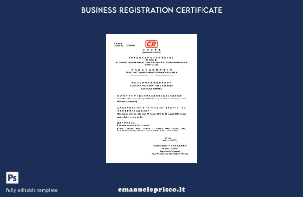 modello di licenza per fornitore di servizi China Trust o Company in stile verif