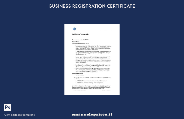 stile verificato Certificato di incorporazione USA New York Modello Word e PDF