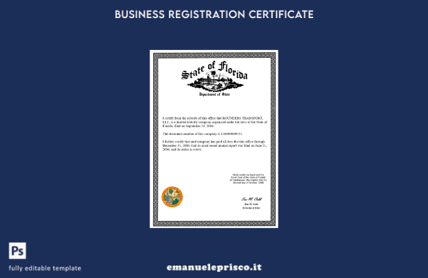 stile verificato Certificato di licenza commerciale USA State of Florida Modello