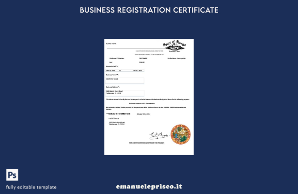 stile verificato Licenza commerciale USA Florida Modello Word e PDF