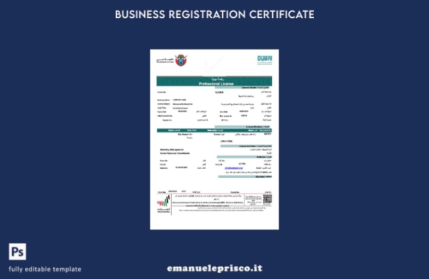stile verificato Licenza professionale degli Emirati Arabi Uniti Dubai del model
