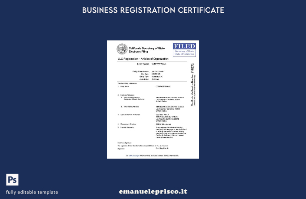 stile verificato Modello Word e PDF di registrazione USA California LLC