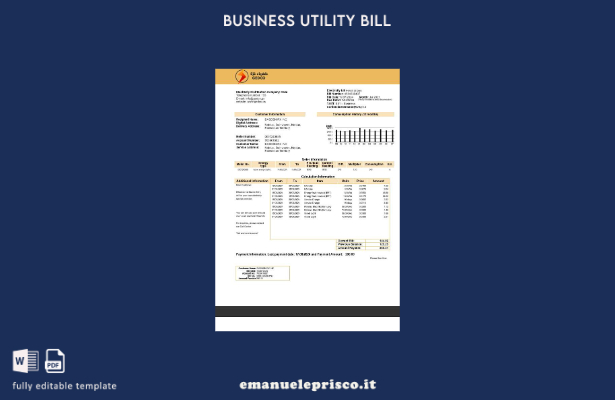 modello di bolletta aziendale della Palestine Electricity Distribution Company G