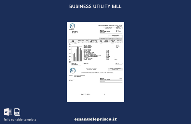 modello di bolletta delle utenze aziendali Macedonia MGI Energetika stile verifi
