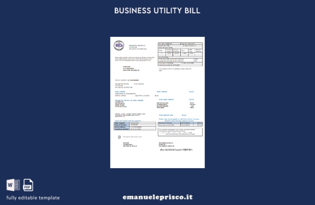 modello di fattura aziendale di Wellsboro Electric Co in stile verificato