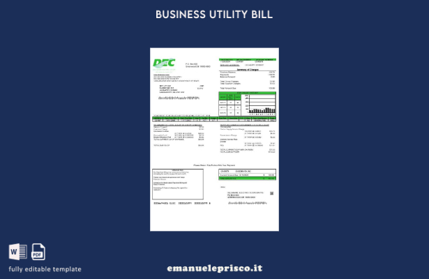modello di fattura di utilità aziendale USA Delaware Electric Co op in stile ver