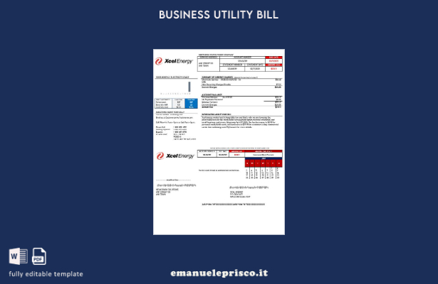 modello di fattura di utilità aziendale USA Xcel Energy in stile verificato