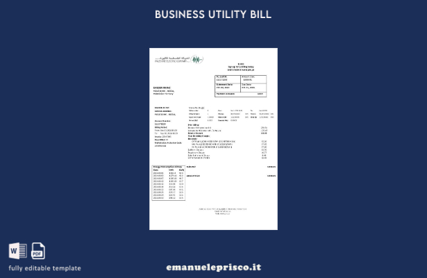 modello di fattura di utilità aziendale della Palestine Electric Company (PEC) i