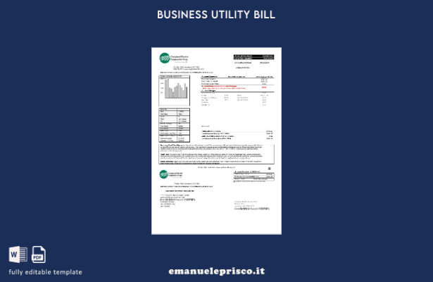 stile verificato Modello di fattura di utilità aziendale USA Craighead Electric