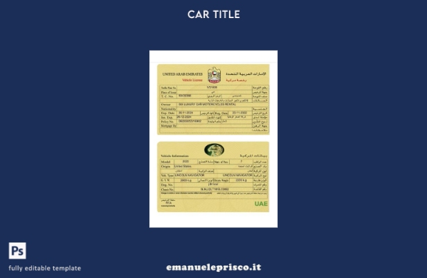 modello di carta di immatricolazione del veicolo degli Emirati Arabi Uniti in st