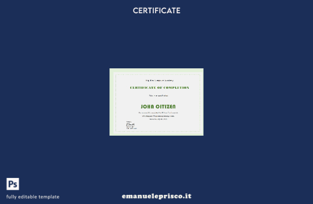 Modello di certificato di formazione informatica USA in stile verificato in form