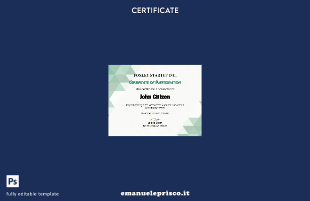 Modello di certificato di partecipazione USA in stile verificato