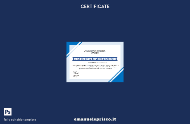Modello di versione del certificato USA Job Experience in stile verificato