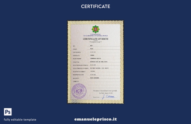 modello PSD del certificato di nascita dello stato civile del Turkmenistan in st