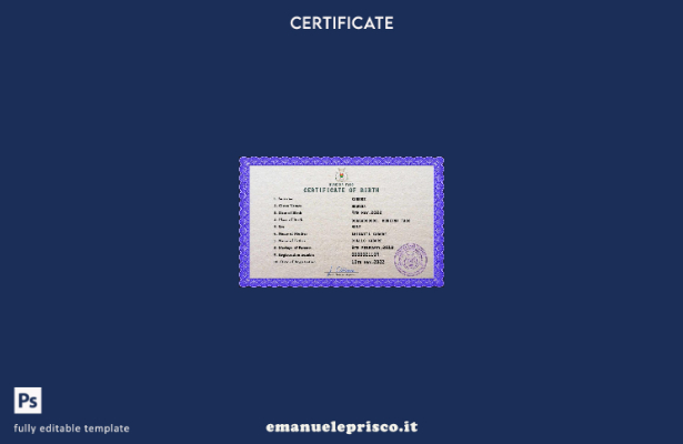 modello PSD del certificato di nascita dello stato di stato civile del Burkina F