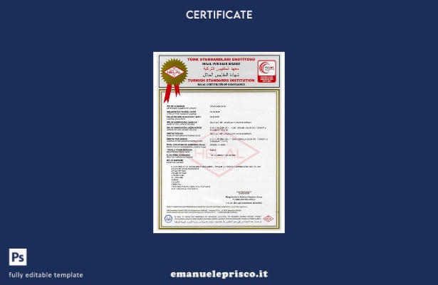 modello di certificato dell'istituto per gli standard turchi in stile verifica 1