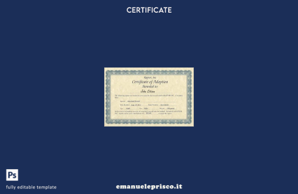 modello di certificato di adozione USA Raptor Inc in stile verificato