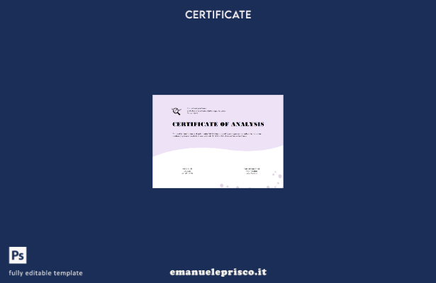 modello di certificato di analisi generale USA stile verificato