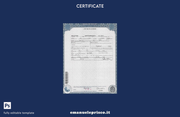modello di certificato di nascita USA Texas in stile verificato