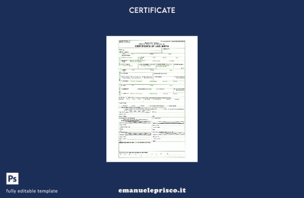 modello di certificato di nascita dal vivo delle Filippine in stile verificato