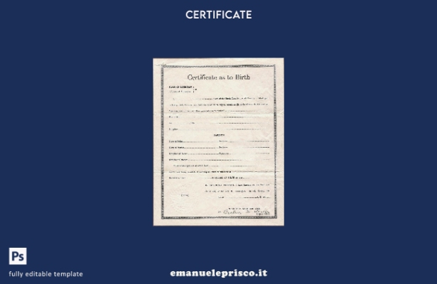modello di certificato di nascita del tribunale del Michigan in stile verificato