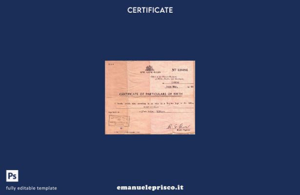 modello di certificato di nascita dell'ufficio del registro distrettuale del New