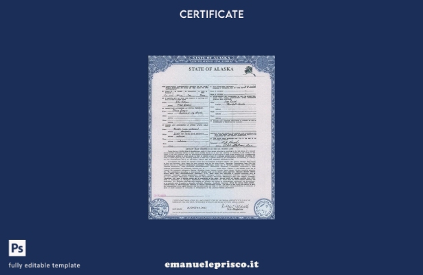 modello di certificato di nascita dello stato USA Alaska in stile verificato nel