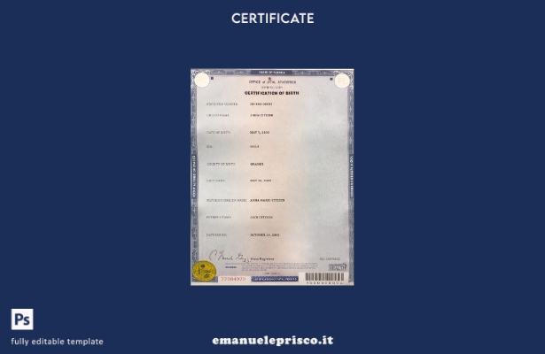 modello di certificato di nascita dello stato USA Florida in stile verificato ne