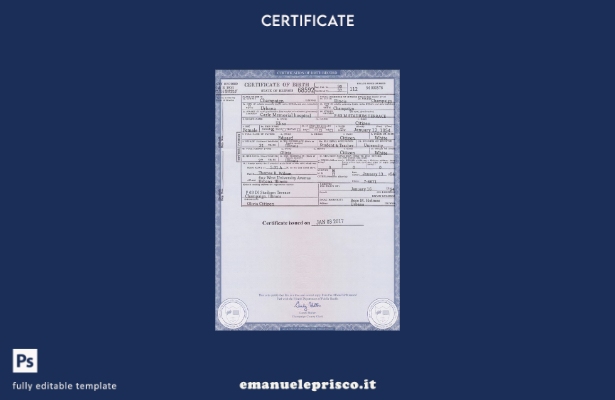 modello di certificato di nascita dello stato USA Illinois in stile verificato n
