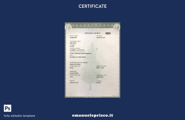modello di certificato di nascita dello stato di Washington USA in stile verific