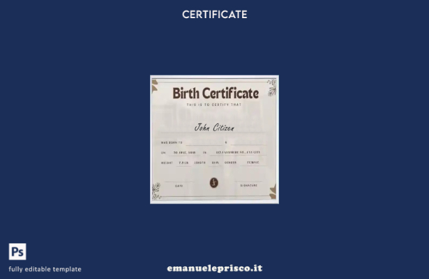 modello di certificato di nascita di New York in stile verificato