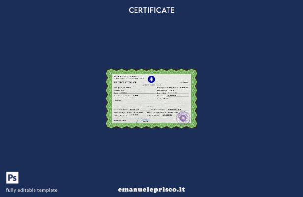 modello di certificato di nascita di Taiwan in stile verificato