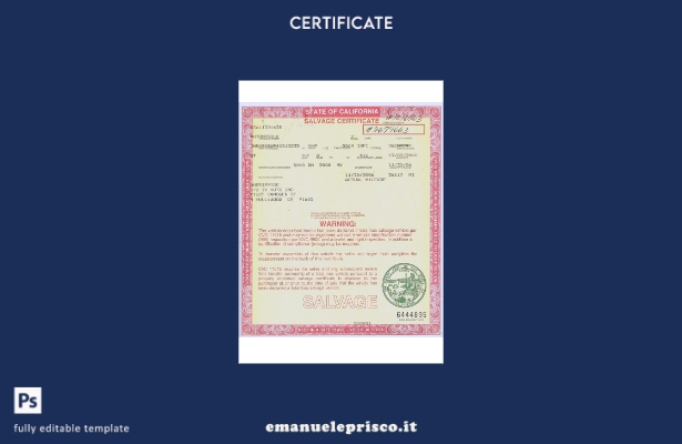 modello di certificato di salvataggio USA California in stile verificato