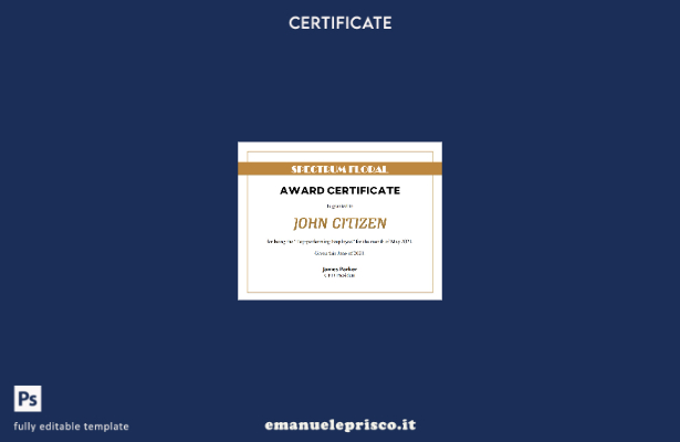 modello di certificato premio USA in stile verificato