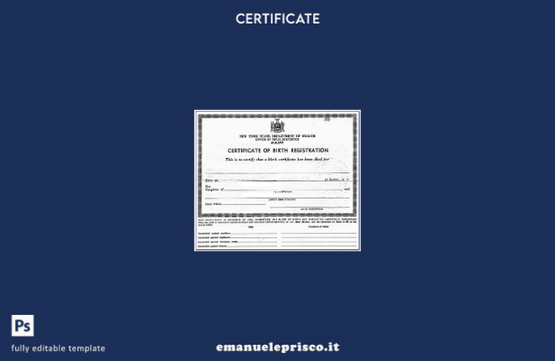 modello di certificazione di nascita dell'ufficio di Vital Statistics di Albany