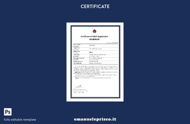 modello di esempio PSD certificato di registrazione GACC in stile verificato Tur