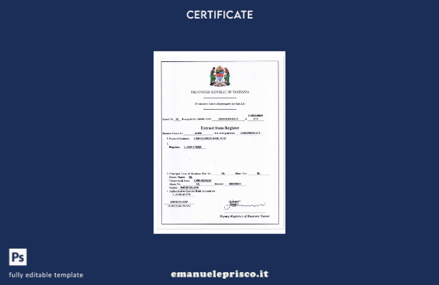 modello di versione di registrazione aziendale in stile verificato TANZANIA