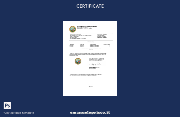 stile verificato Certificato di autenticazione del documento dello stato della C